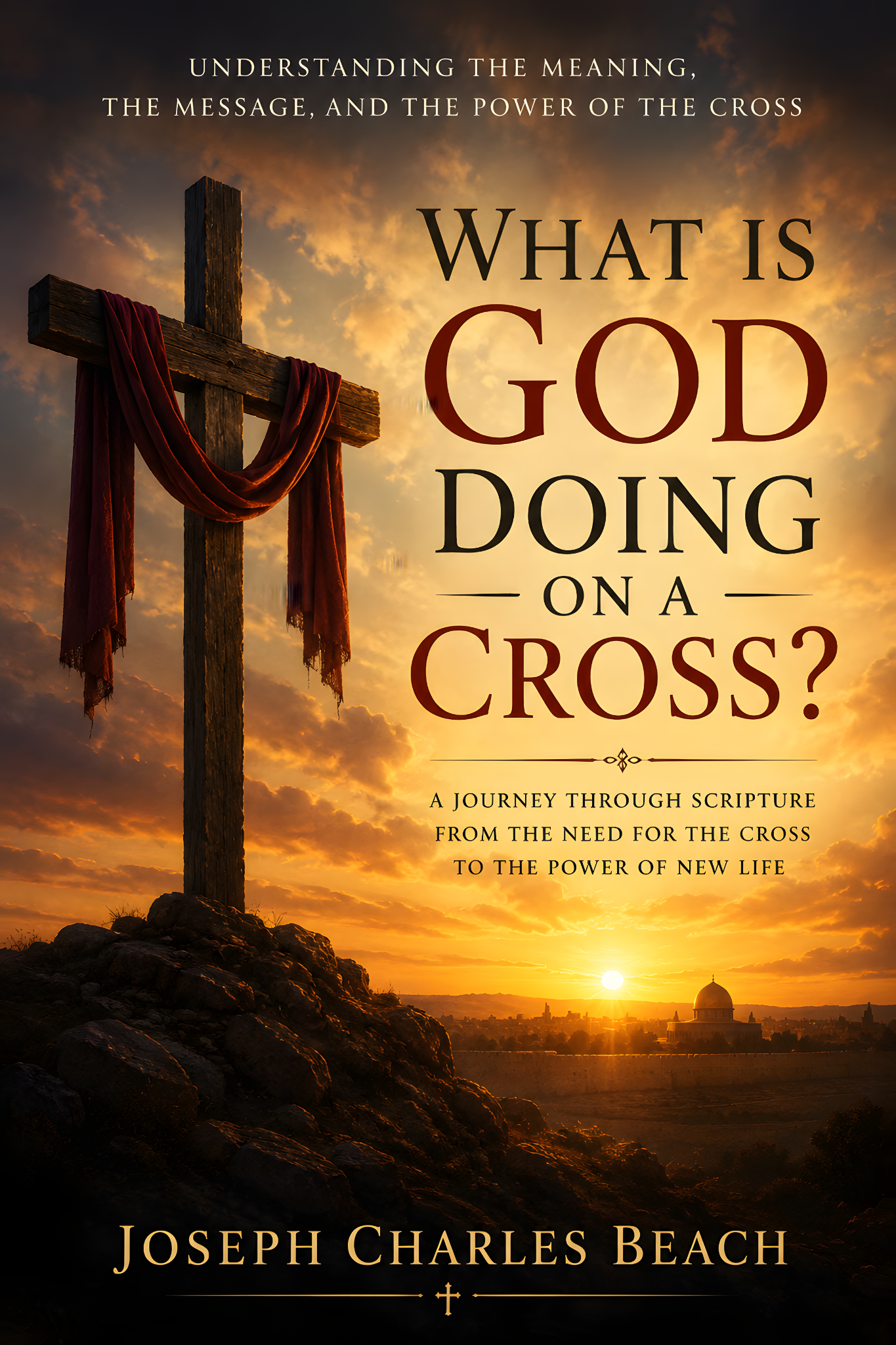 What Is God Doing on a Cross? book cover